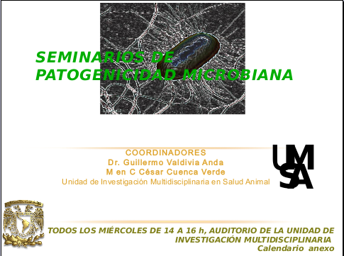 Seminario